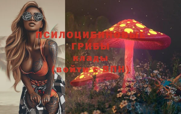 PSILOCYBIN Абаза